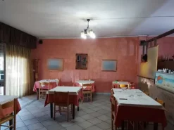 #11746 Locale adibito a trattoria al piano terra