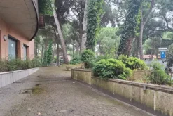 #2536106 Locali di un ex istituto bancario con corte