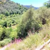 #24281 Lotto di terreno (porzione 2) in ex polveriera