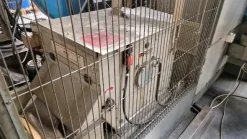 Macchina per foratura profonda IXION AUERBACH TL 1004