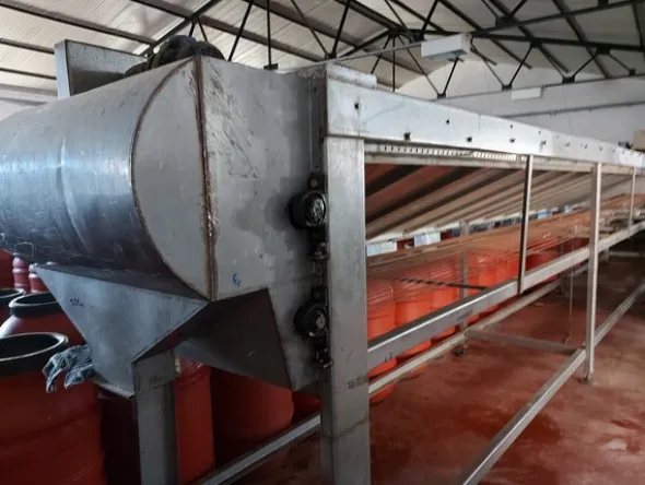 9#7582 Macchinari per la lavorazione delle olive
