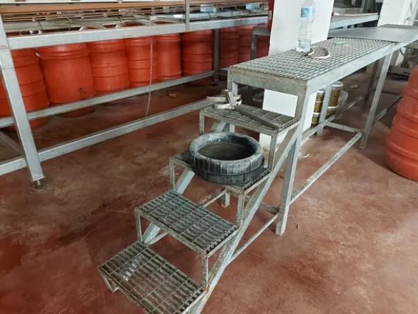 9#7582 Macchinari per la lavorazione delle olive