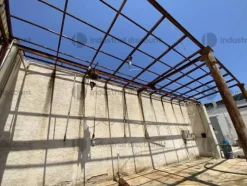 54#9550 Macchinari per la lavorazione e produzione di ortaggi