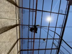 54#9550 Macchinari per la lavorazione e produzione di ortaggi