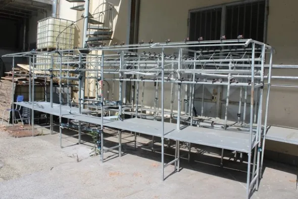 1#5451 Macchine per fettuccia