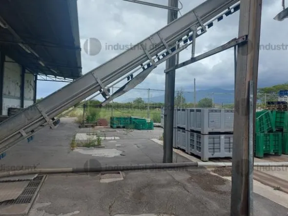 7#9213 Macchine per lavaggio e smistamento prodotti agricoli