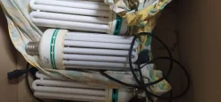 Materiale vario per idroponica