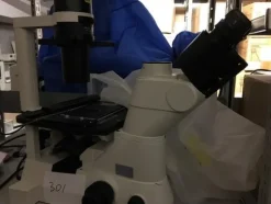 191#22880 Microscopio Nikon