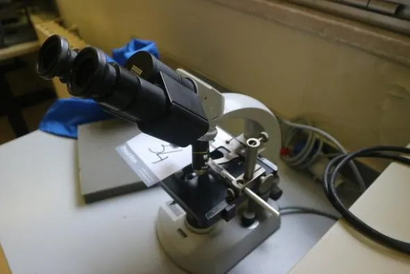 34#2541 Microscopio Zeiss