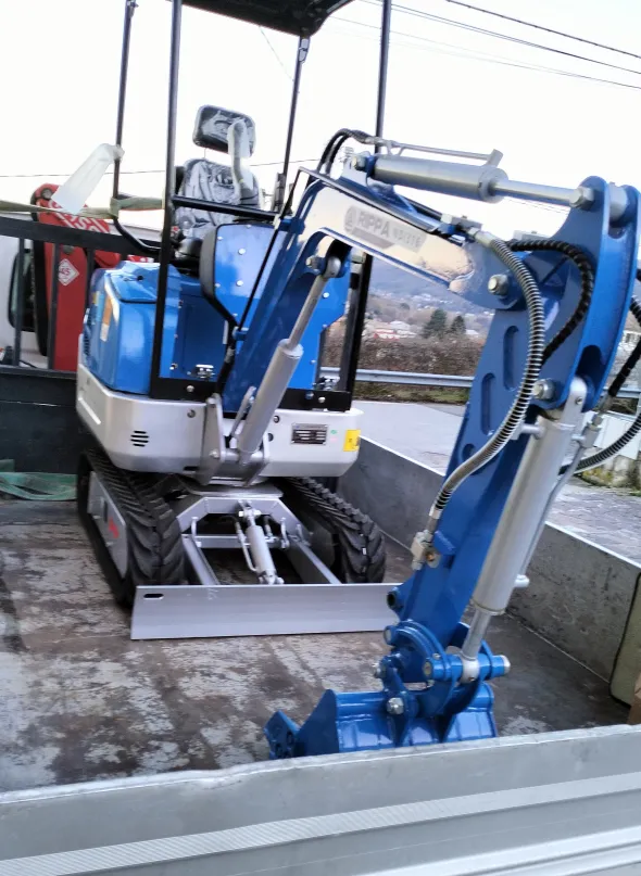 Miniescavatore Rippa