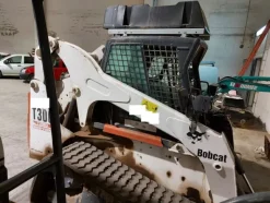 23#7725 Minipala Bobcat