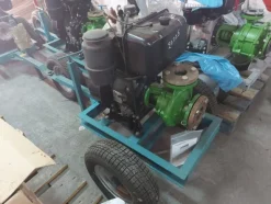 181#7892 Motopompa Lombardini