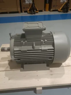 MOTORE ELETTRICO TRIFASE 22 kW