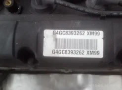 10#4979 Motore Hyundai