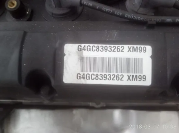 10#4979 Motore Hyundai