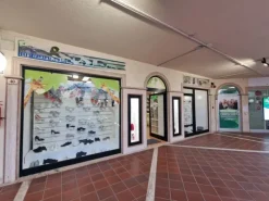 #26266 Negozi a reddito in centro commerciale con impianto fotovoltaico