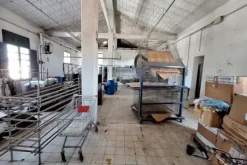 #24060 Opificio artigianale con mobili e appartamenti