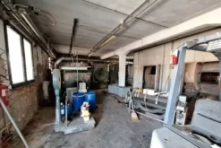 #24060 Opificio artigianale con mobili e appartamenti
