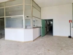 #20048 Opificio industriale con accessori ed area di pertinenza
