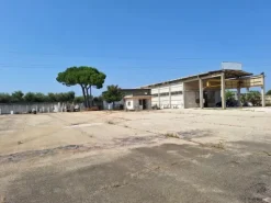 #2537076 Opificio Industriale con Alta Visibilità autostrada A14