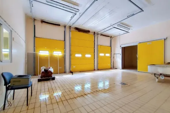 #20747 Opificio industriale con porzione di terreno