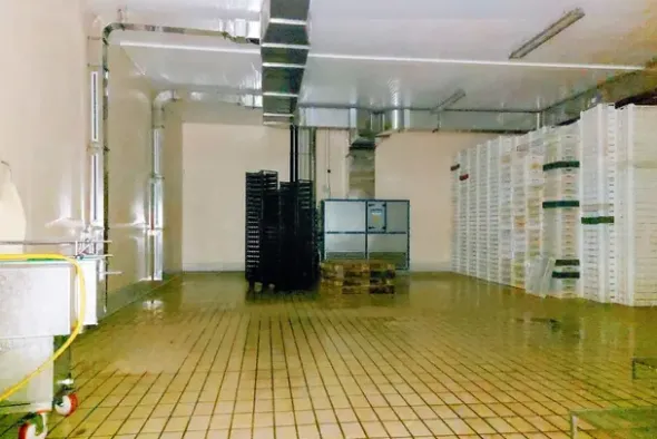 #20747 Opificio industriale con porzione di terreno