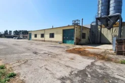 #24757 Opificio per produzione alimentare con terreni