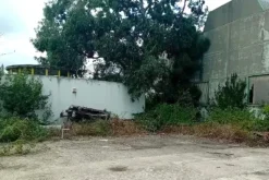 #2638619 Opificio uso deposito con pertinenze e cortile
