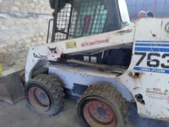 35#4854 Pala Bobcat