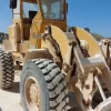 14#5454 Pala meccanica Giovannelli Cat920
