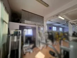 #25902 Palestra di due piani