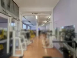 #25902 Palestra di due piani