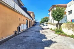 #2515095 Palestra sottostrada in edificio polifunzionale