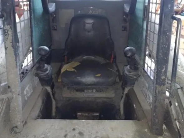 3#3635 Paletta Bobcat 773