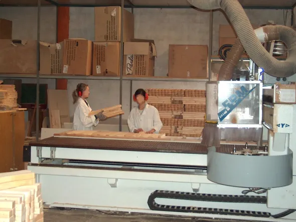 PANTOGRAFO MARCA BULLERI ANNO 2003