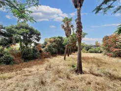 #23497 Parco acquatico esclusivo di 20842 mq