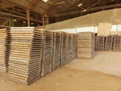 42#5783 Pedane in legno