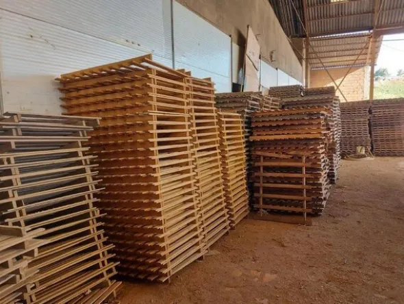 42#5783 Pedane in legno