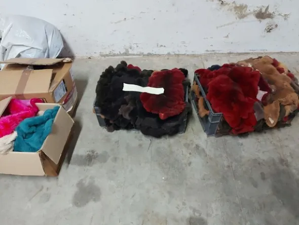 73#8259 Pellami e prodotti per la lavorazione