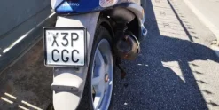 12#4591 Piaggio Liberty