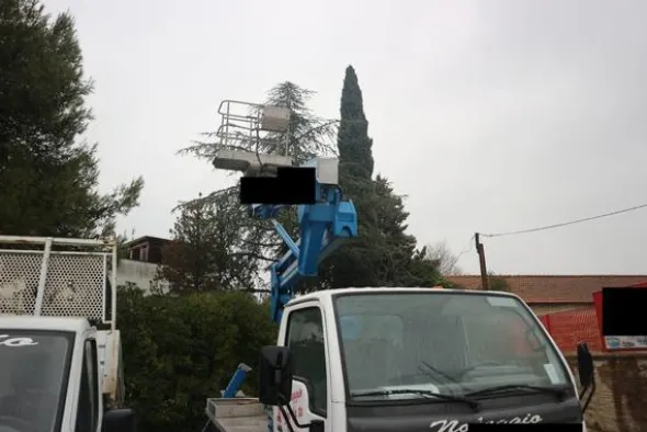 4#3814 Piattaforma autocarrata Sequani mod Z 20E