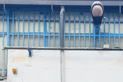 #21351 Porzione di capannone e corte privata