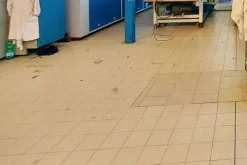 #21351 Porzione di capannone e corte privata