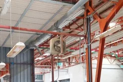 #21099 Porzione di opificio da frazionare (comparto 3)