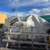 1#8636 Pressa a Iniezione per termoplastici NPM Dynamic 150 con accessori