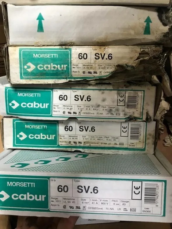 3#5453 Pressacavi per cavo armato e raccordi in acciaio