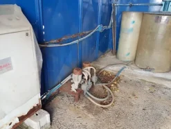 1#3139 Pressa rotativa Bergi e trasportatore aereo