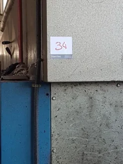 1#3139 Pressa rotativa Bergi e trasportatore aereo