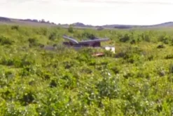 #25025 Proprietà superficiaria di fondazione eolica