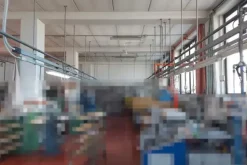 #19074 Proprietà superficiaria di porzione di opificio